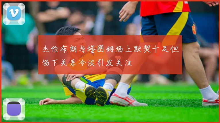 杰伦布朗与塔图姆场上默契十足但场下关系冷淡引发关注